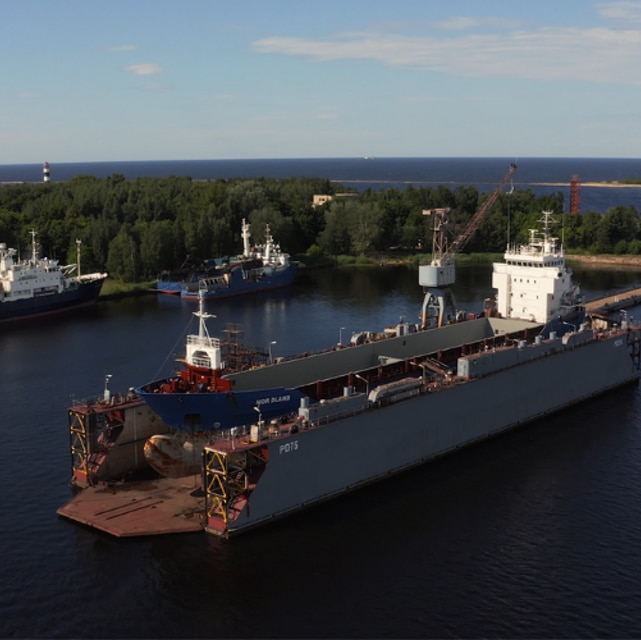 Risk analysis and management of floating dock operations